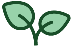 Small plant